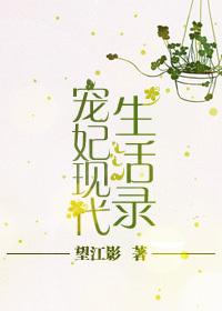 宠妃现代生活录正版阅读