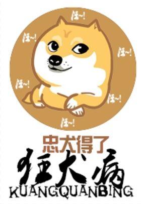 得了狂犬病的狗应该怎么办