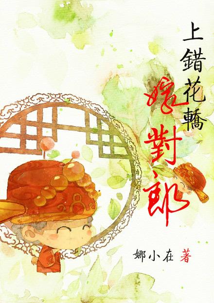 上错花轿嫁对郎哪年播出的