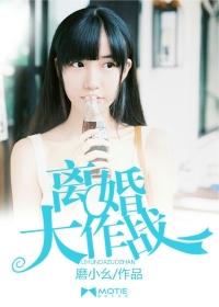 离婚大作战苏晚林宇在线阅读