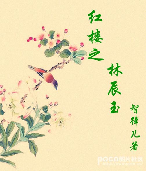 随身空间红楼之林辰玉TXT