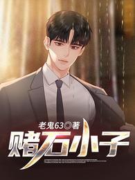 赌石小子之财色无双陆明