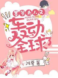 夫人又轰动全球了全文免费