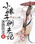 小娘子驯夫记 TXT