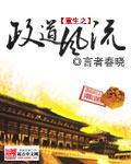 重生之政道风流未删节