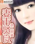 妻本贤良txt