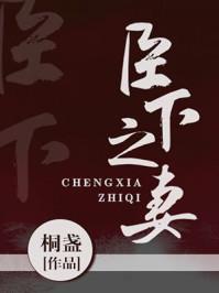 臣下之妻讲了什么
