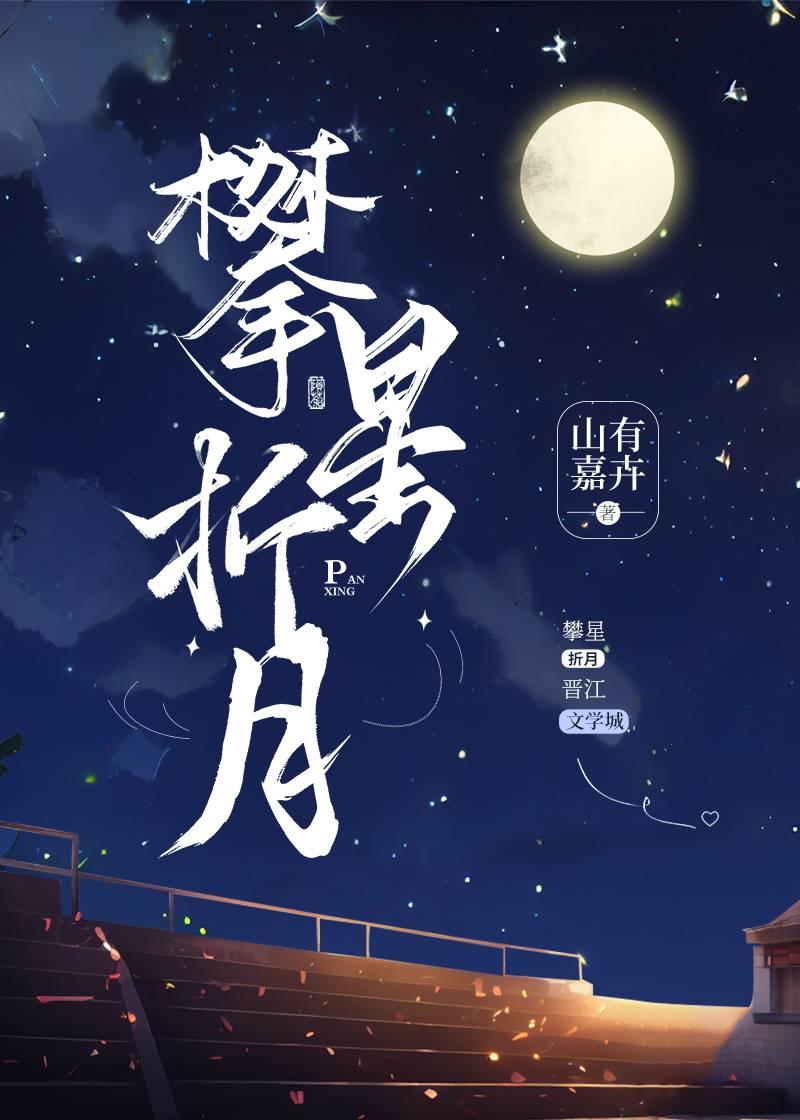 攀星折月txt免费阅读
