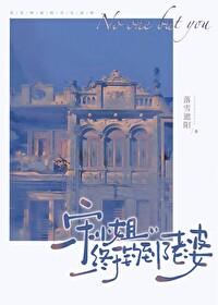 宋小姐终于钓到了老婆番外