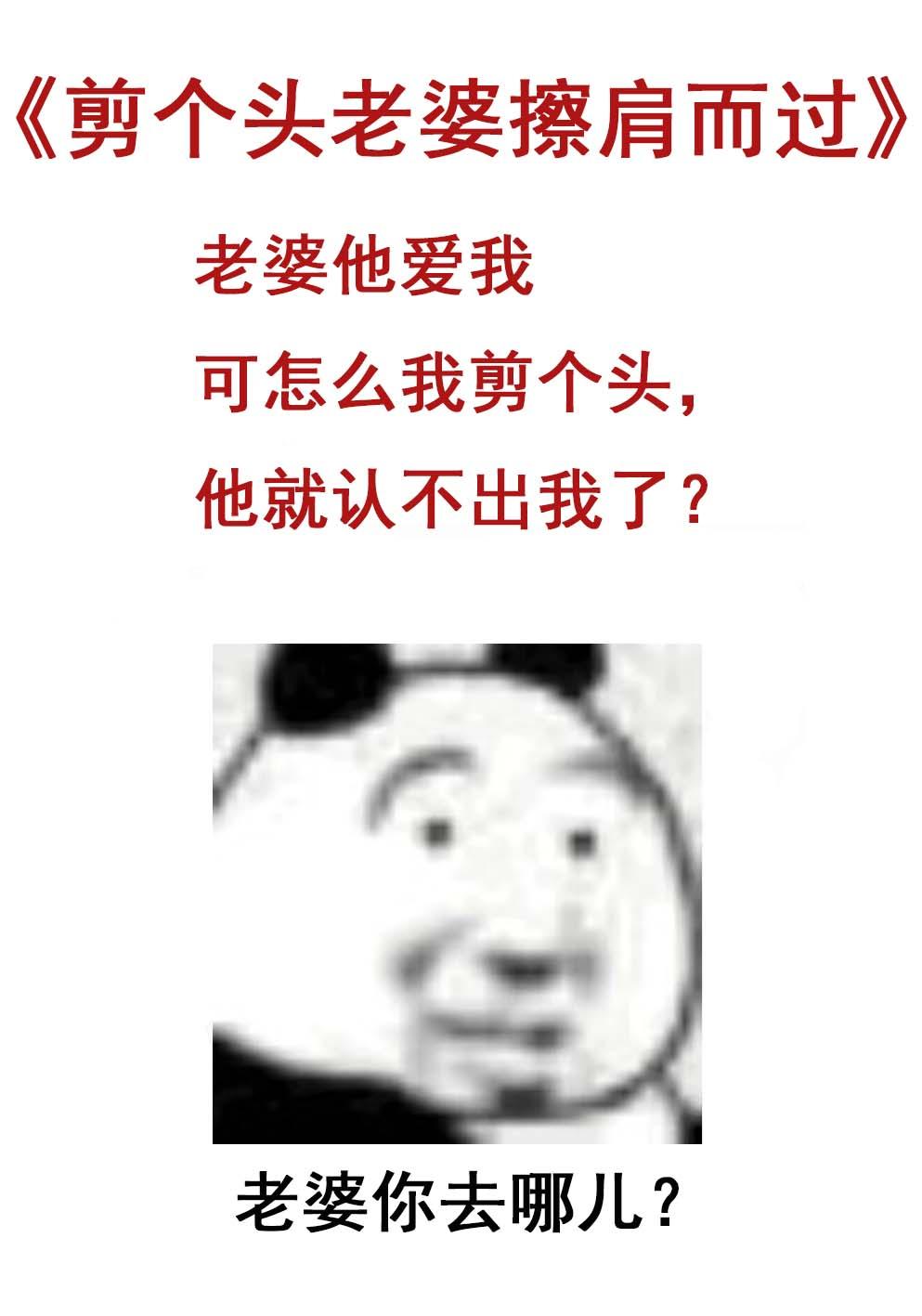 剪个头老婆擦肩而过免费TXT