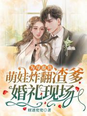 为母报仇萌娃炸翻渣爹婚礼现场 笔趣阁