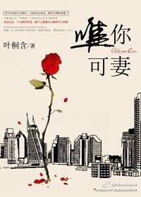 唯你不可替代笔趣阁