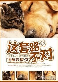 这不是套路下一句