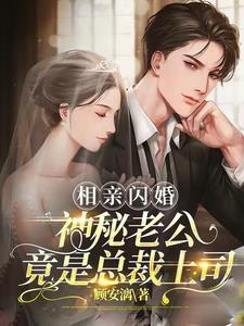 闪婚神秘老公全文