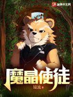 魔晶创始人