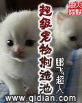 超级宠物制造池女主是谁