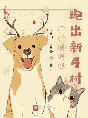 我在新手村称霸完整阅读