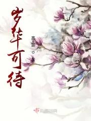 岁华可待是什么意思
