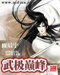武极巅峰等级划分