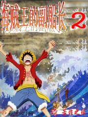 海贼王的副船长晋江