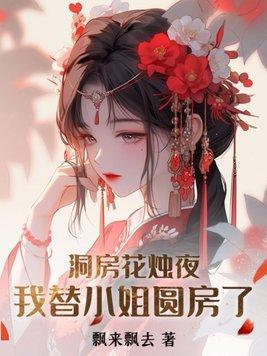 洞房花烛夜我替小姐圆房了未删减版