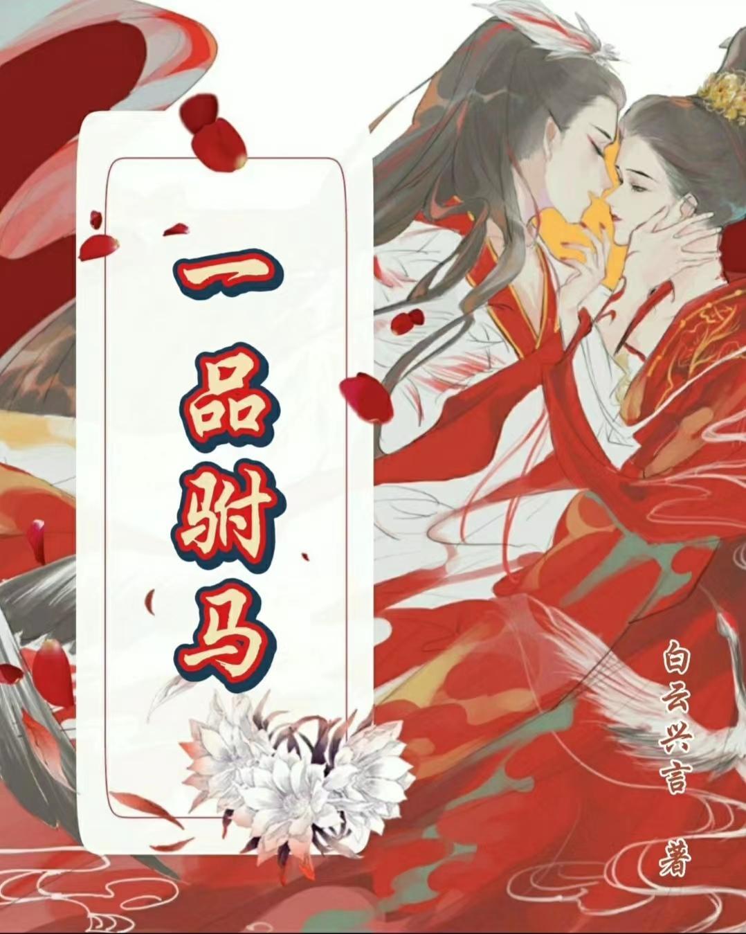 一品驸马爷网剧