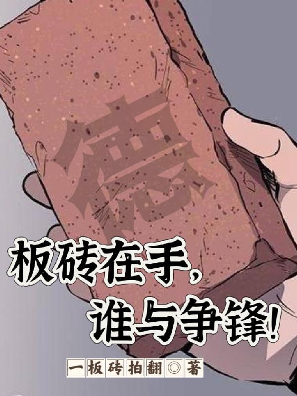 板砖啥意思?