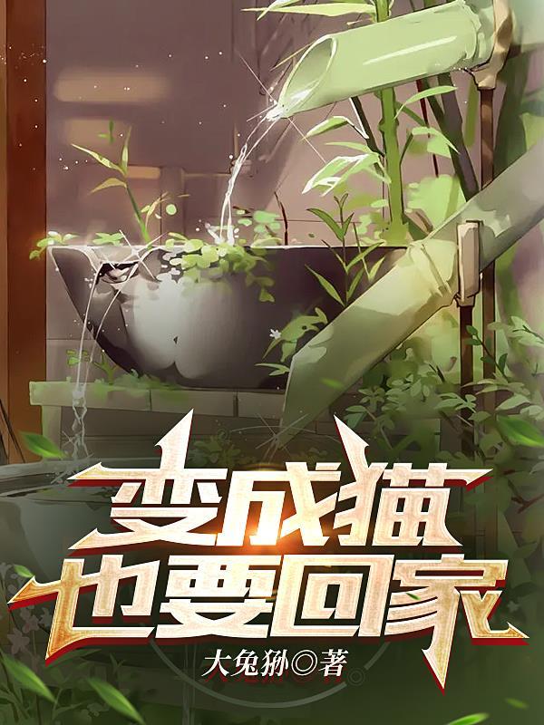 就算变成猫也要回家