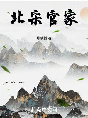 北宋官家好看吗