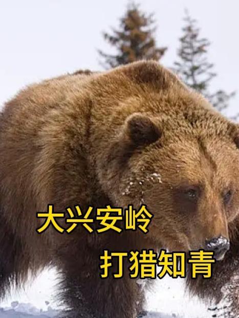 大兴安岭诡异的打猎