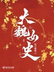 大魏的历史