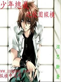 总裁与少年完整版