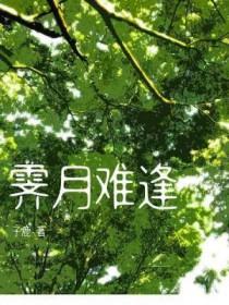 霁月难逢TXT