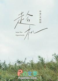 趁机可乘是什么意思