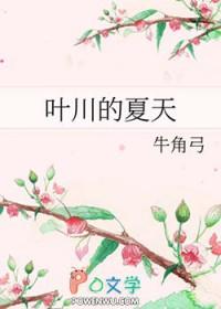 叶川的夏天全文免费阅读