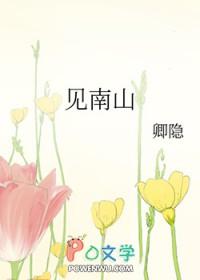 我见南山有车吗