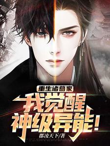重生三国诸葛