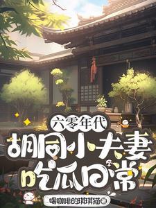 六零小夫妻全文阅读