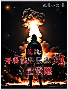 发展重装合成师类似