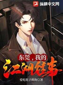 缅北风云我的江湖往事有声