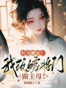 二嫁主母徐瑾沈宁飞
