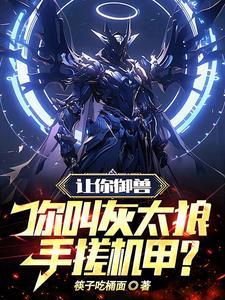 你叫灰太狼手搓机甲?作者筷子吃桶面txt