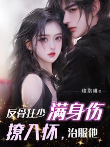 盛夜硝烟全文免费阅读