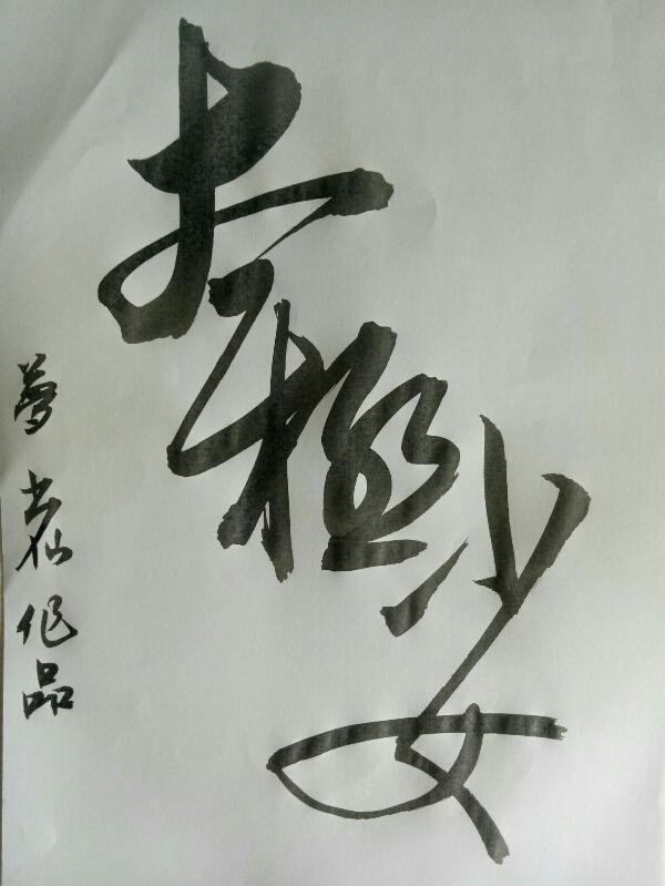 太极少女电视剧免费观看