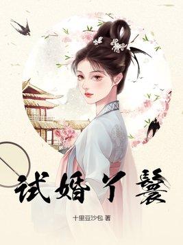 试婚丫鬟全文