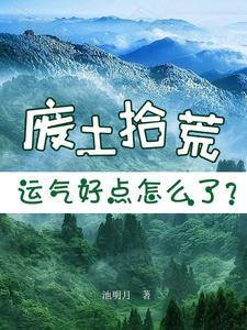 废土拾荒运气好点怎么了好看吗