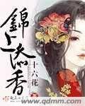 锦上添香全文阅读