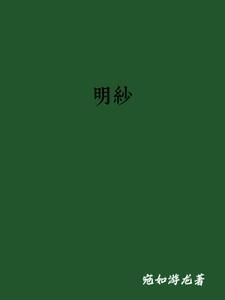 明纱是什么材质