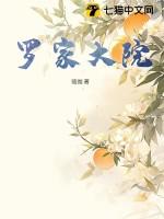罗家大院攻略