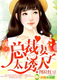 总裁妻子太诱人 第2章